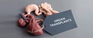 Organ Transplant Abroad: Step by Step Process, Types and Recovery