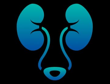 Urology