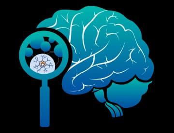 Neurology