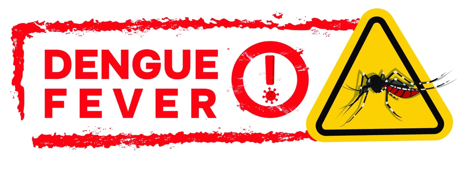 Dengue symptoms, warning signs and treatment Dengue symptoms, warning signs and treatment