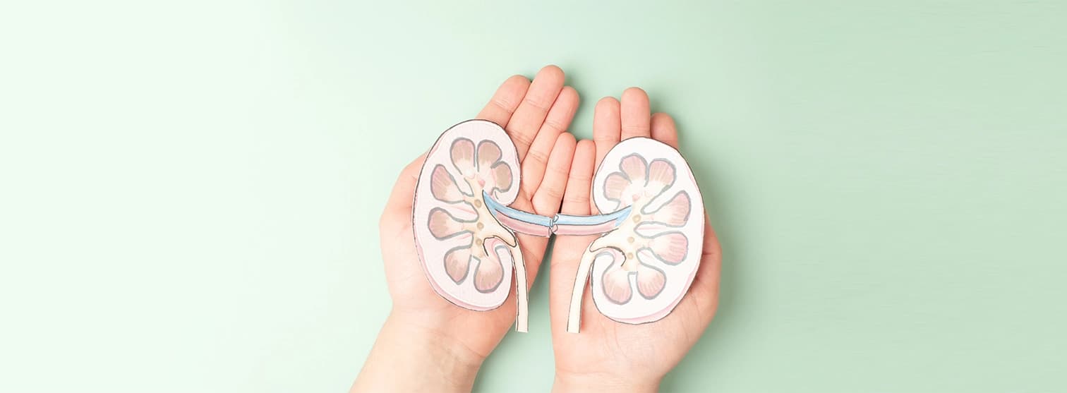 Early Signs of Kidney Disease Early Signs of Kidney Disease