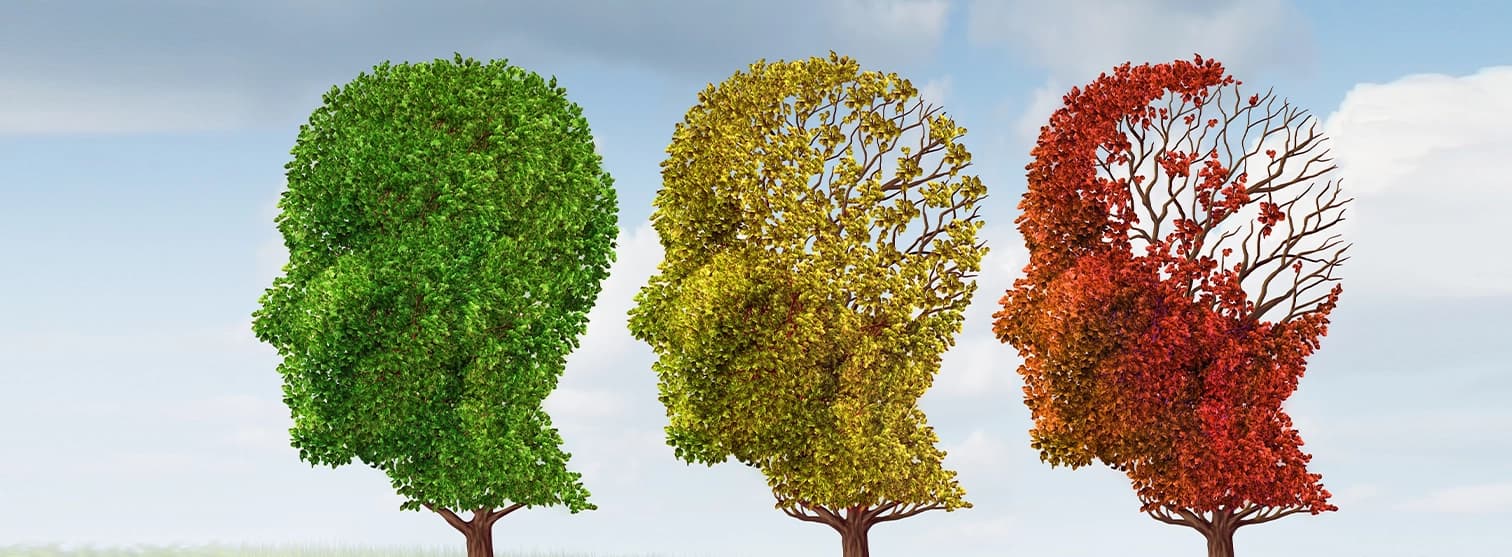 Memory Loss: Normal Forgetfulness vs Medical Concerns