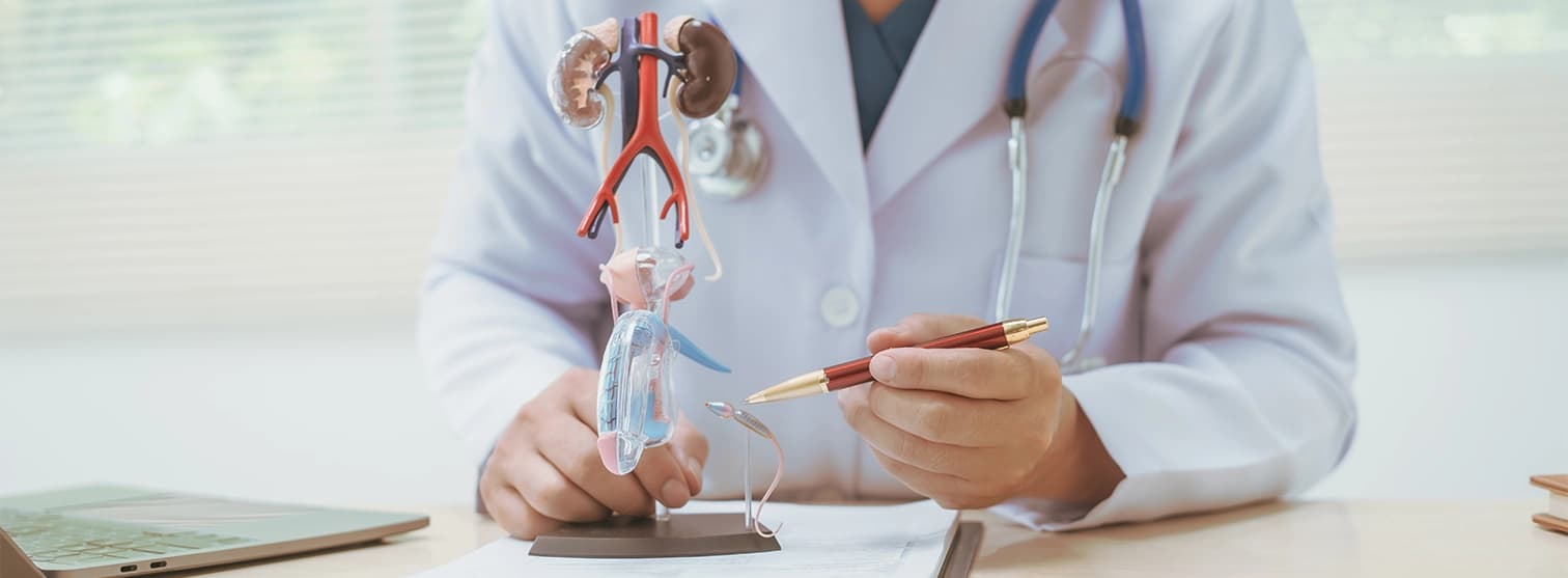 Urinary Tract Infections (UTIs) in Men Urinary Tract Infections (UTIs) in Men