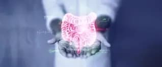 Digestive Disorders: Symptoms, Diagnosis, and Treatment Options for International Patients Digestive Disorders: Symptoms, Diagnosis, and Treatment Options for International Patients