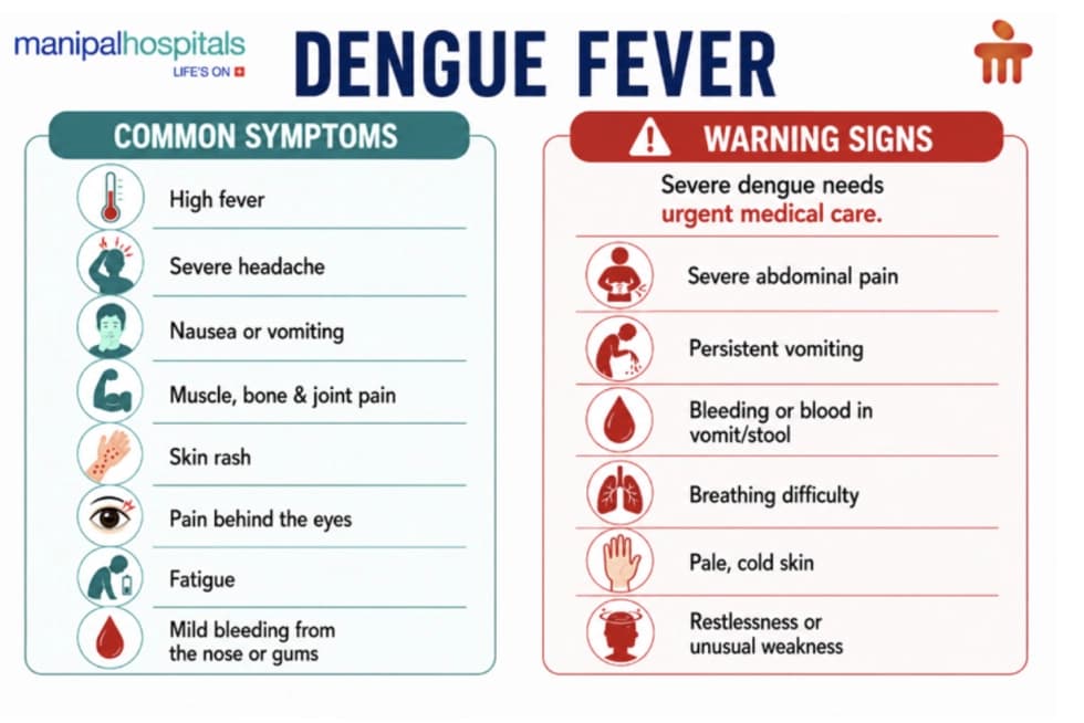 Dengue symptoms and warning signs Dengue symptoms and warning signs