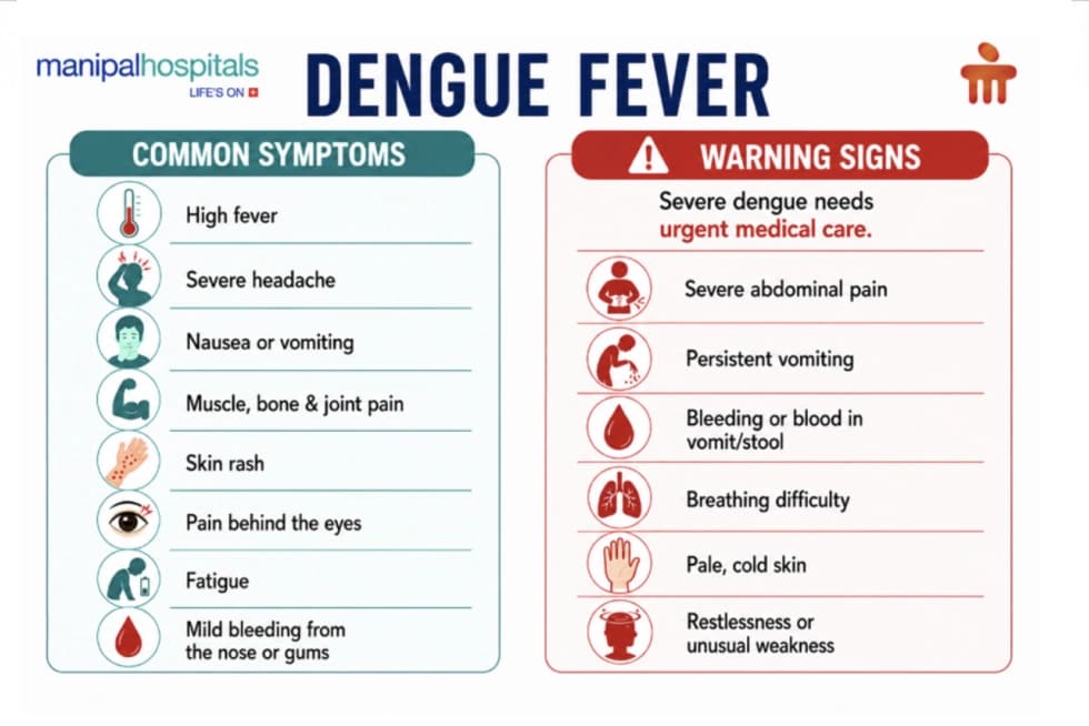 Dengue symptoms and warning signs Dengue symptoms and warning signs