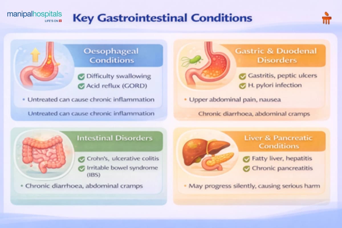 Digestive Disorders: Symptoms, Diagnosis, & Treatment Digestive Disorders: Symptoms, Diagnosis, & Treatment
