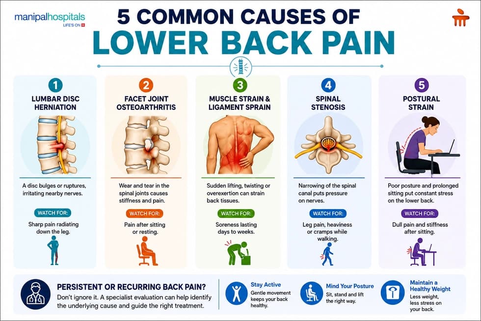 5 Common Causes of Lower Back Pain 5 Common Causes of Lower Back Pain