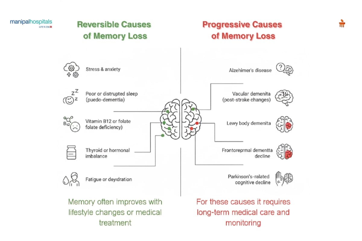 Memory Loss: Normal Forgetfulness vs Medical Concerns