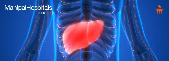 Liver Specialists in India